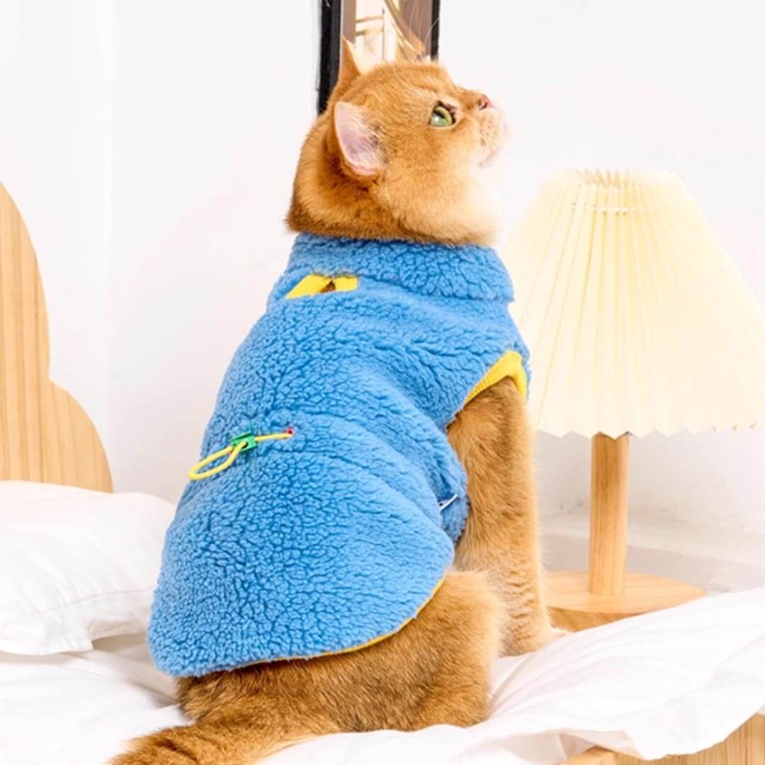 Cat in Blue Fleece Jacket | MissyMoMo