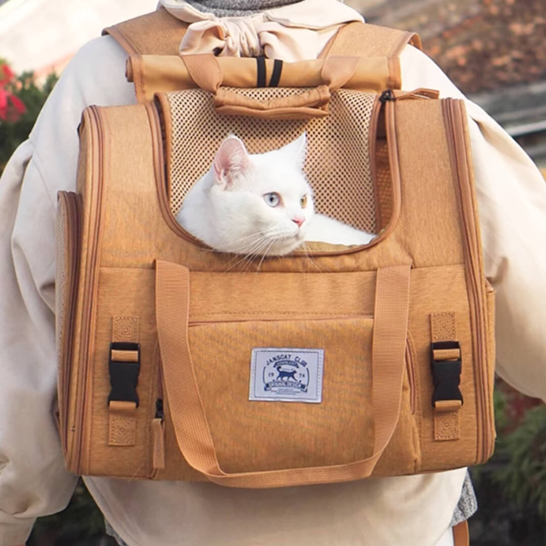 Cat Inside Expandable Cat Backpack | MissyMoMo