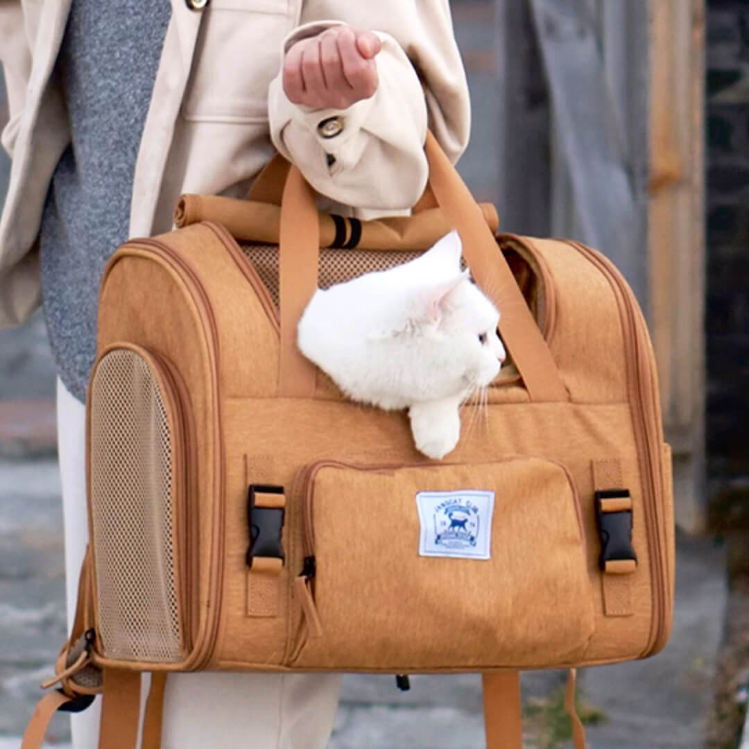 Carrying Cat with Expandable Cat Backpack | MissyMoMo