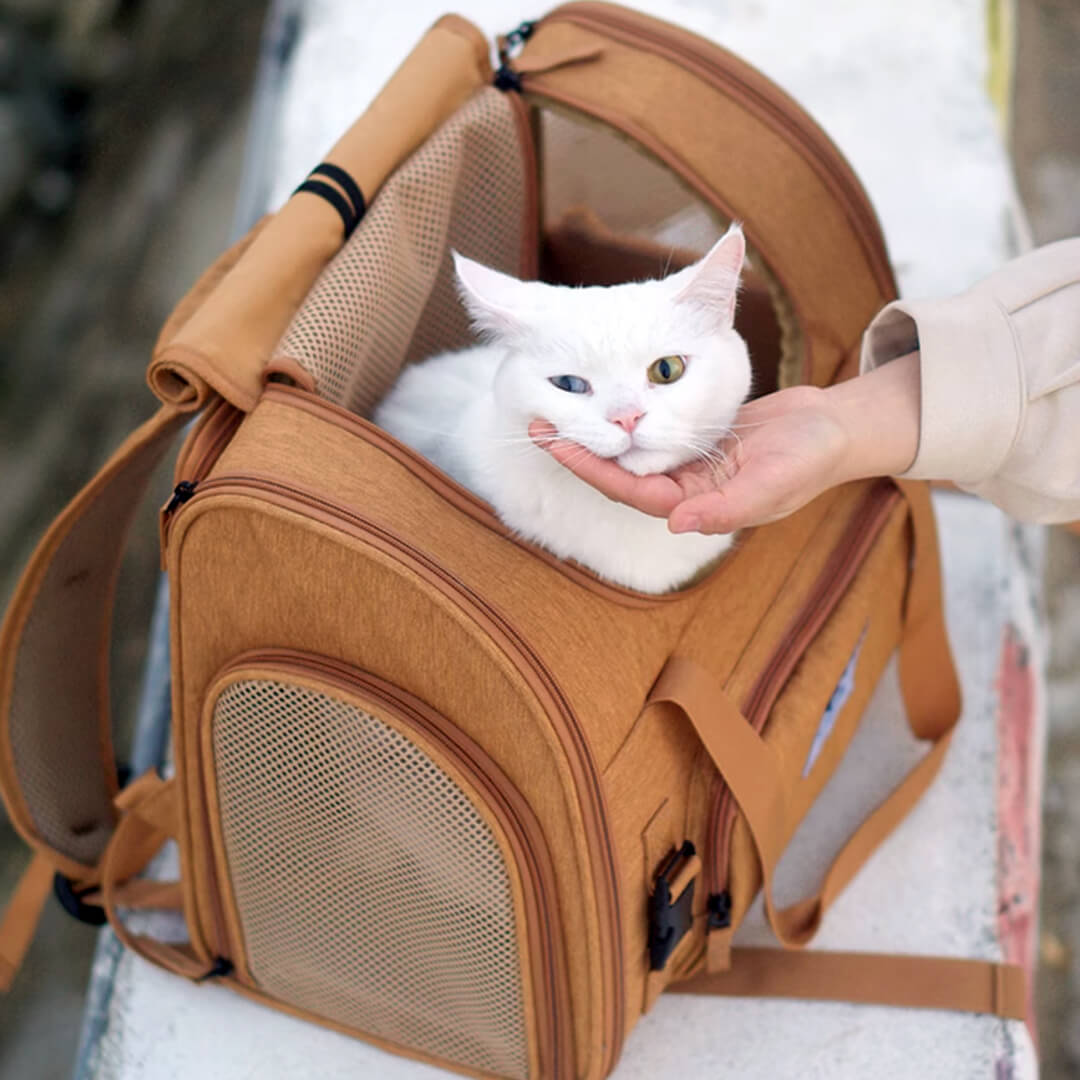Cat Inside Expandable Cat Backpack | MissyMoMo