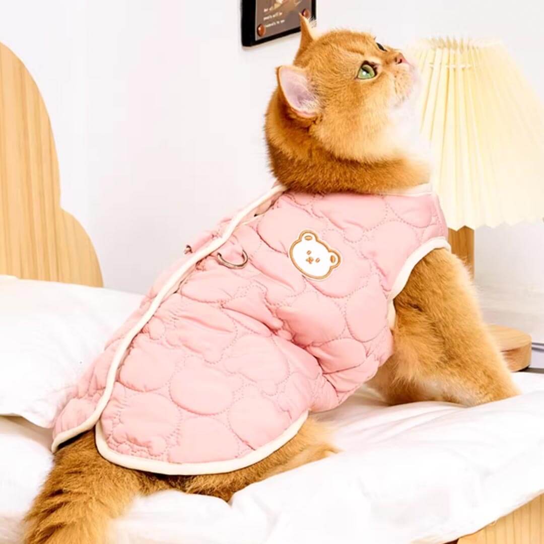 Cat Wearing Pink Quilted Jacket | Cozy Bear Patch Cat Outfit | MissyMoMo