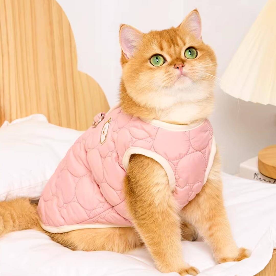 Cat in Pink Quilted Jacket With Bear Detail | Soft Padded Cat Vest | MissyMoMo