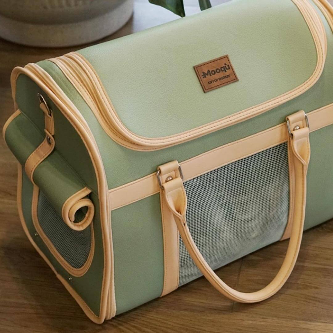 Cat Peeking Through Mesh Window of Stylish Pet Carrier | MissyMoMo