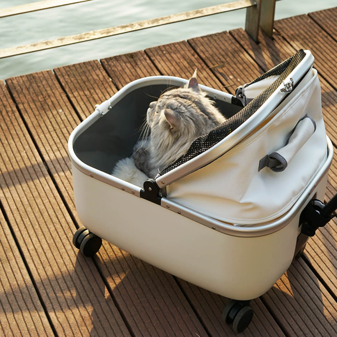 Cat Sitting Inside Stylish White Cat Stroller | MissyMoMo