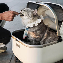 Load image into Gallery viewer, Cat Sitting in White Cat Stroller Getting Fed | MissyMoMo
