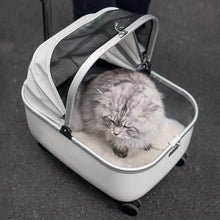 Load image into Gallery viewer, Cat Sitting in White Cat Stroller | Stylish Cat Carrier with Wheels | MissyMoMo
