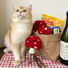 Load image into Gallery viewer, Cat with Cute Mushroom Silvervine Cat Chew Toy | MissyMoMo
