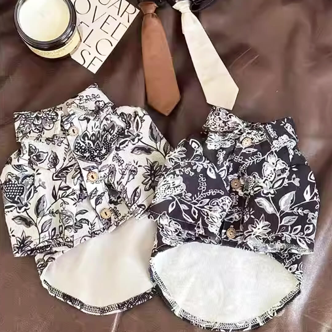 Napili Cat Shirt & Tie Sets | Corduroy Floral Shirts for Cats & Kittens | MissyMoMo