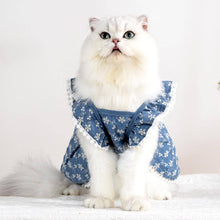 Load image into Gallery viewer, MoMo Cat Dress | Dress for Cats | Cat in Dress | MissyMoMo

