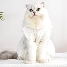 Load image into Gallery viewer, MoMo Cat Dress | Dress for Cats | Cat in Dress | MissyMoMo
