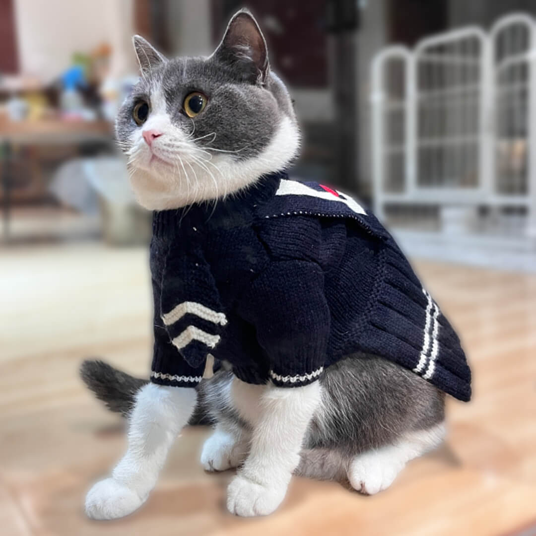 Cat in Navy Knit Cat Dress | MissyMoMo