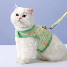 Load image into Gallery viewer, Cat Ready for a Walk in Nova Cat Harness & Leash Set | MissyMoMo