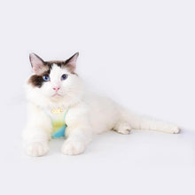 Load image into Gallery viewer, Cat Wearing Aurora Gradient Cat Harness | MissyMoMo