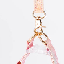 Load image into Gallery viewer, Metal Buckle on Aurora Gradient Cat Harness | MissyMoMo
