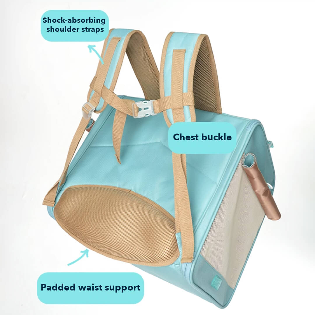 Back of Collapsible Blue Cat Backpack |  MissyMoMo