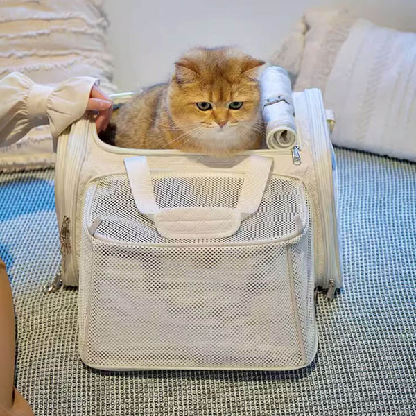 Cat in Beige Expandable Airline-Approved Cat Carrier for Travel | MissyMoMo