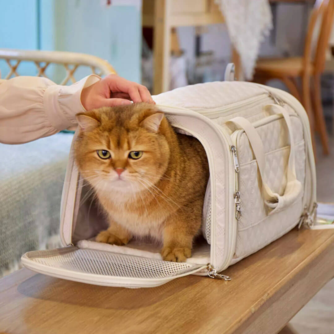 Cat in Beige Airline-Approved Cat Carrier for Travel | MissyMoMo