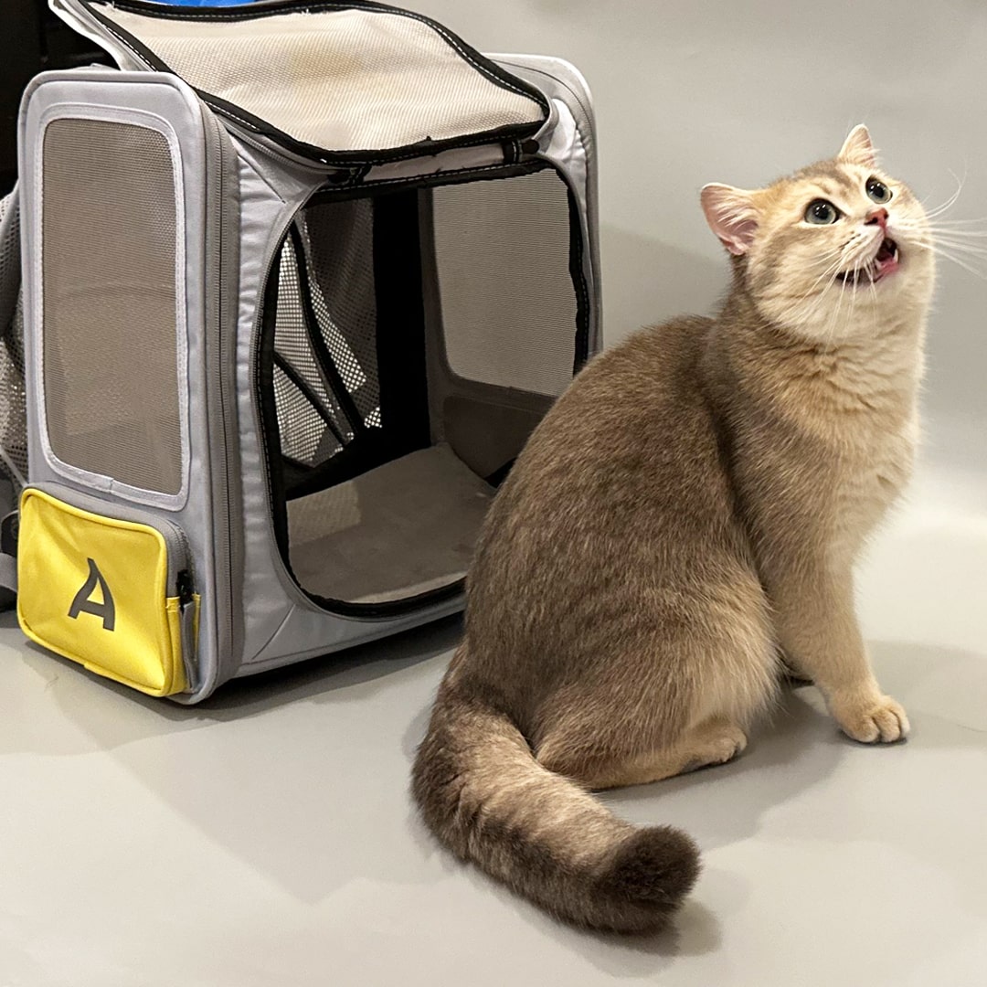 Collapsible Cat Backpack Carrier | MissyMoMo