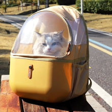Load image into Gallery viewer, Cat Sitting Inside Yellow Collapsible Cat Backpack | MissyMoMo