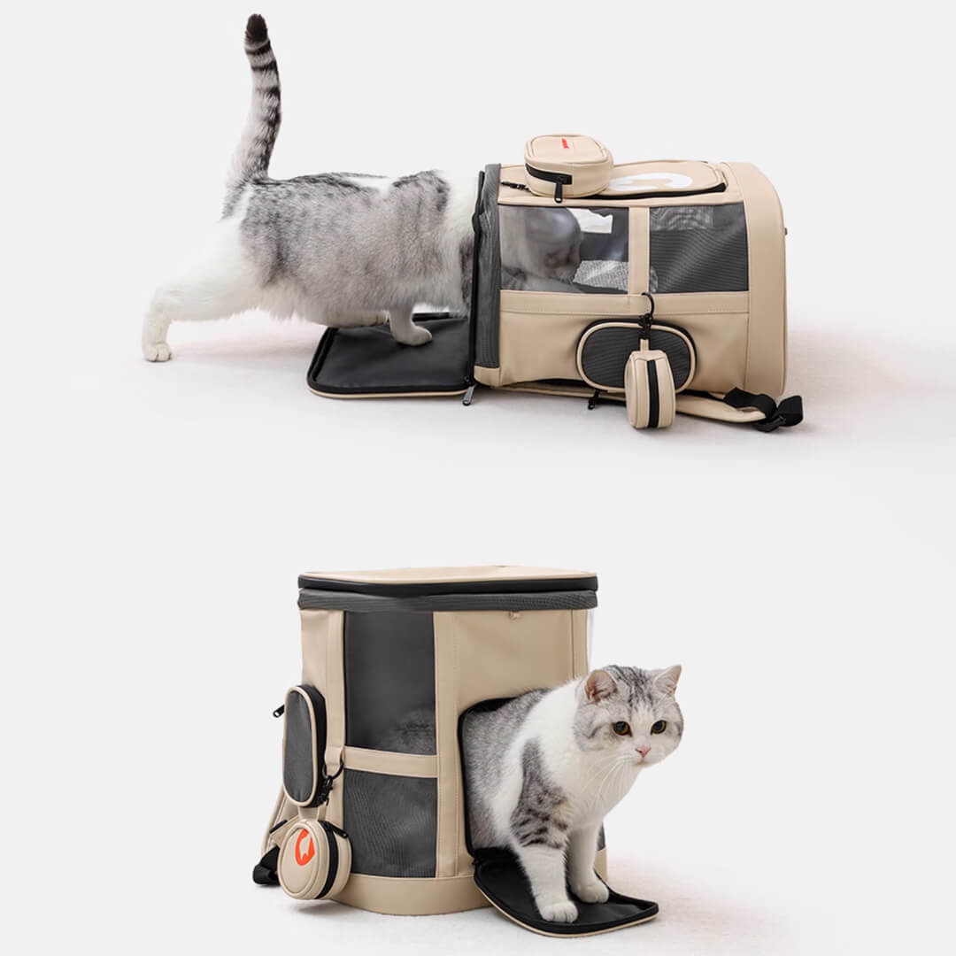 Cat Getting Into Petstar Voyager Expandable Cat Backpack | Pet Carrier | MissyMoMo