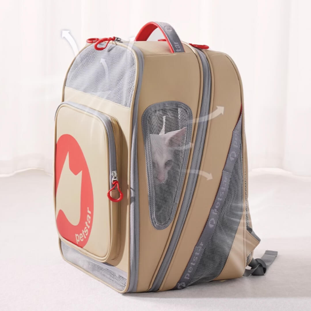 Cat Inside Mesh Expandable Cat Backpack | MissyMoMo