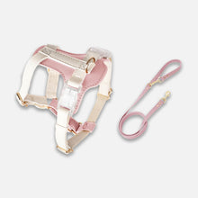 Load image into Gallery viewer, Phoenix Leather Cat Harness &amp; Leash Set In Pink | MissyMoMo
