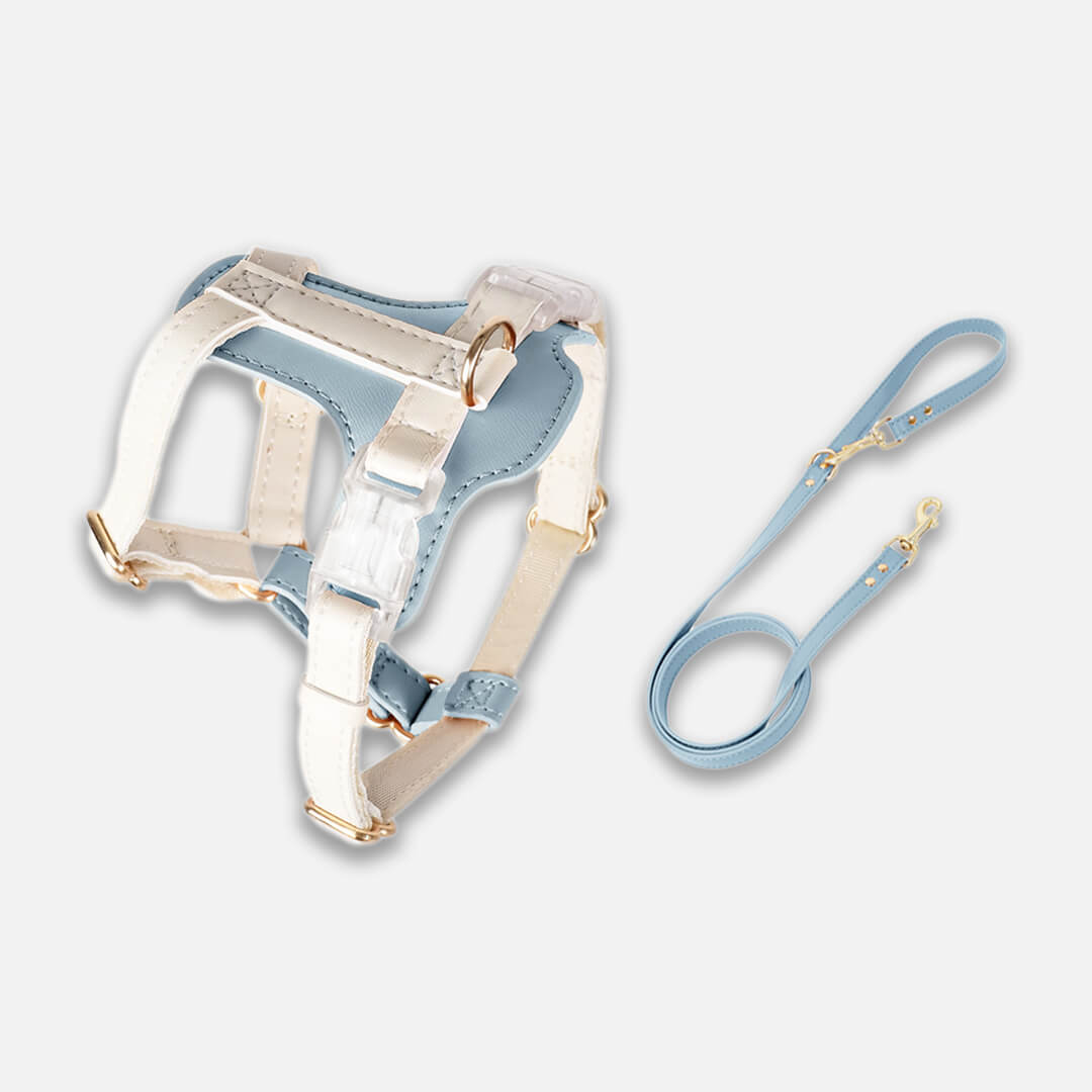 Phoenix Leather Cat Harness & Leash Set In Blue | MissyMoMo