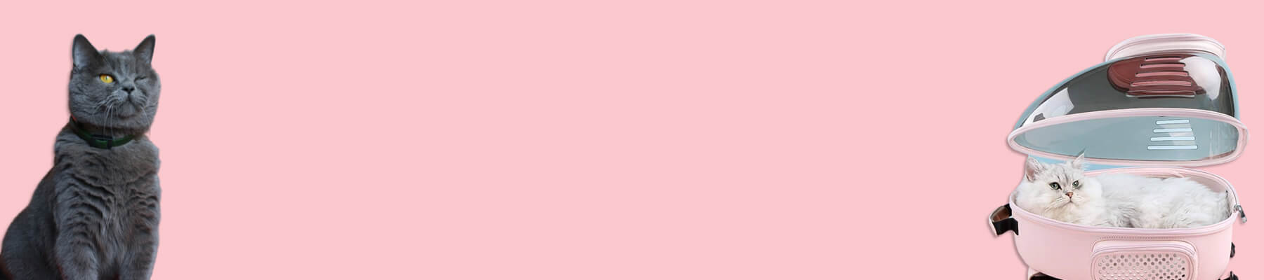 Pink Cat Backpack Collection