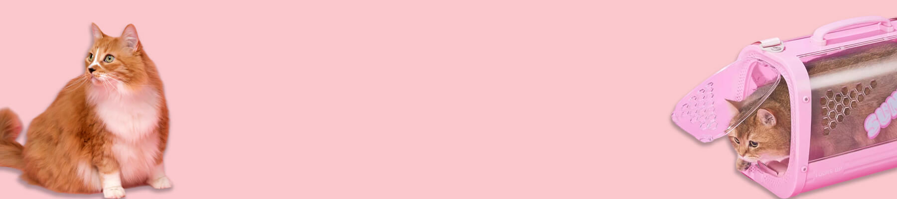 Pink Cat Carrier Collection