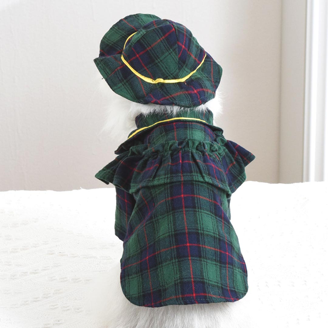 Plaid Cat Hat | Pet Accessories | MissyMoMo