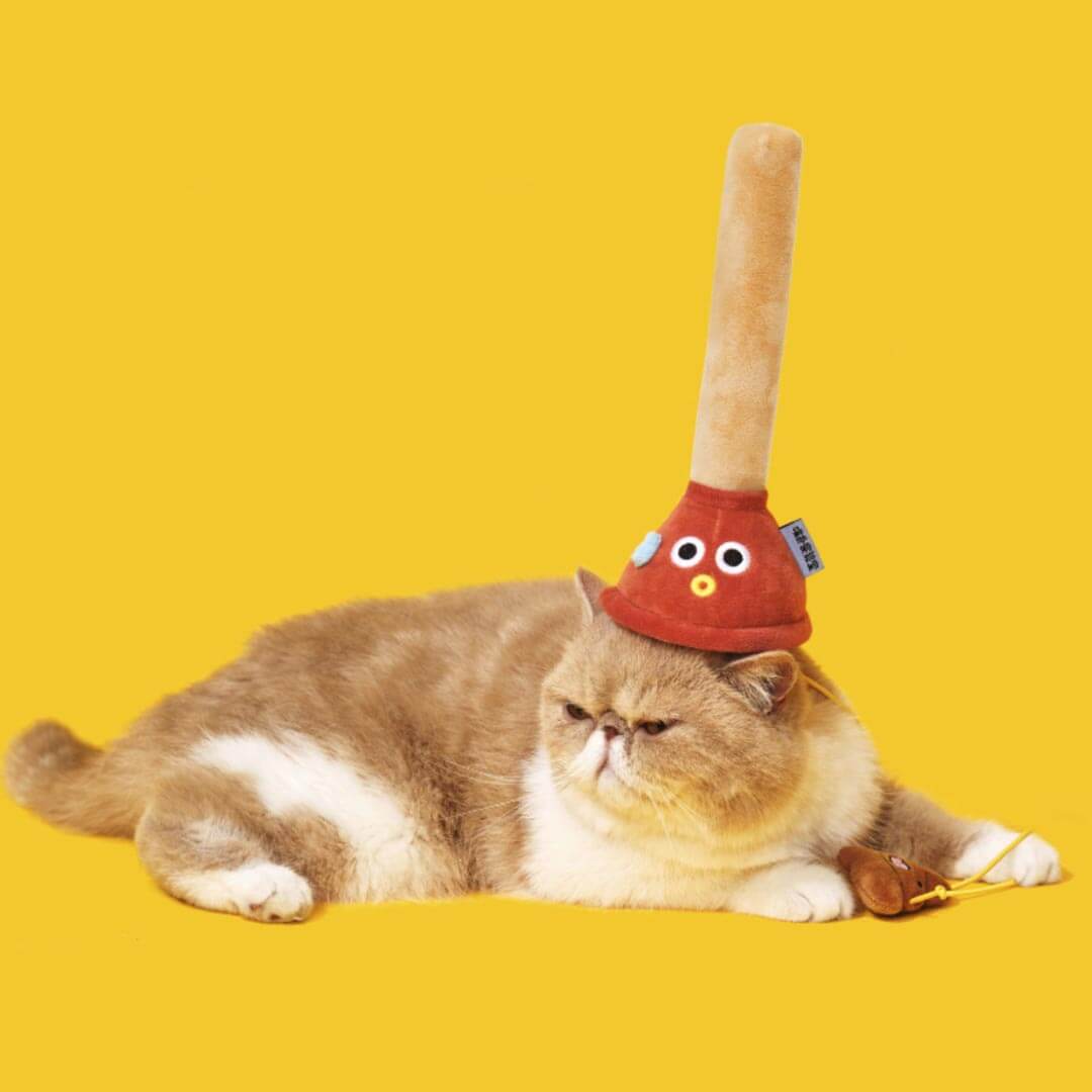 Cat Playing with Plunging Poo Cat Teaser | Funny Kitten & Cat Toys | MissyMoMo