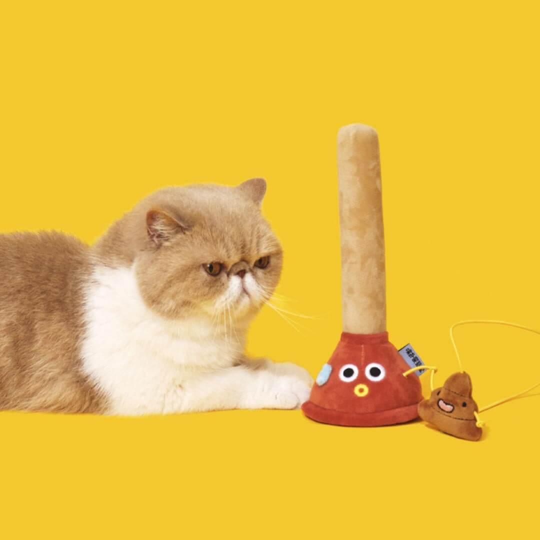 Cat Playing with Plunging Poo Cat Teaser | Funny Kitten & Cat Toys | MissyMoMo