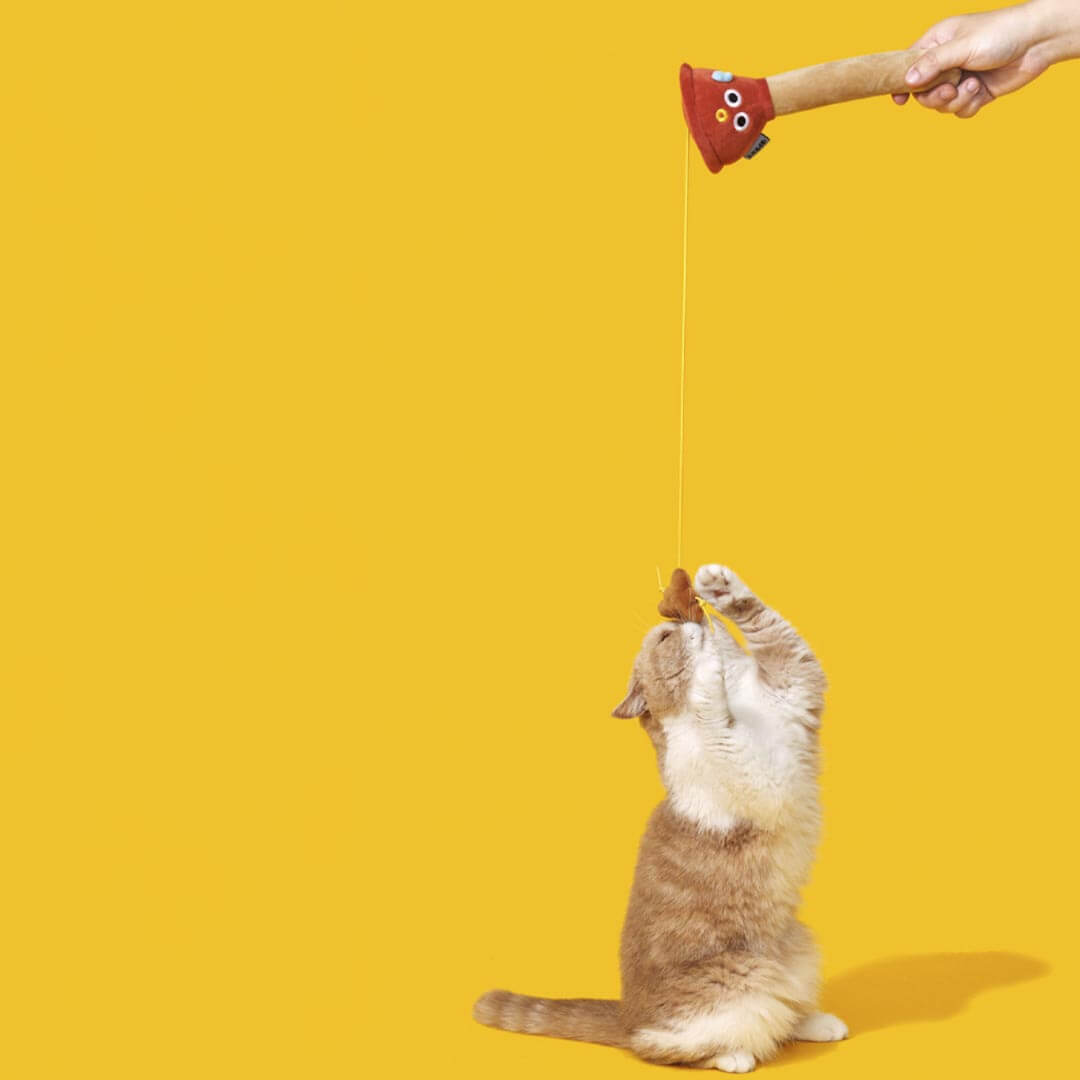 Cat Playing with Plunging Poo Cat Teaser | Funny Kitten & Cat Toys | MissyMoMo