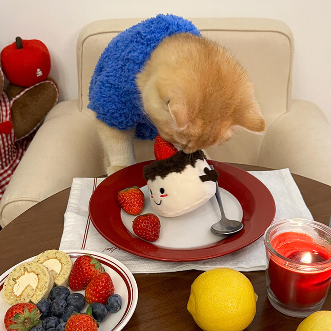 Cat with Cute Plush Cake Catnip Toy with Squeaker | MissyMoMo