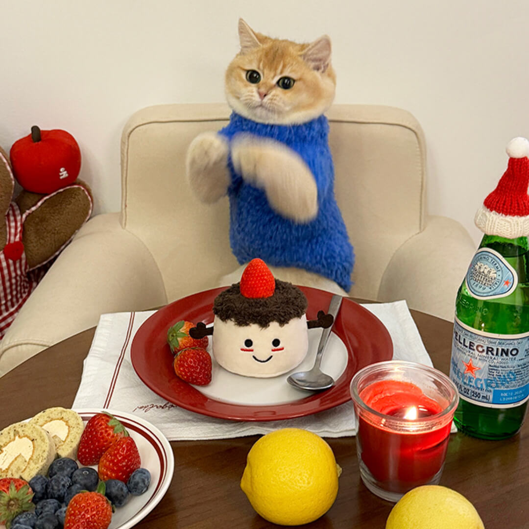 Cat with Cute Plush Strawberry Cake Catnip Toy with Squeaker | MissyMoMo