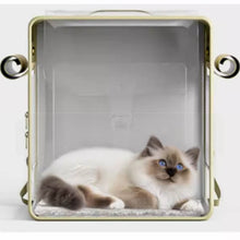 Load image into Gallery viewer, Cat Inside Green Leather Cat Backpack | MissyMoMo