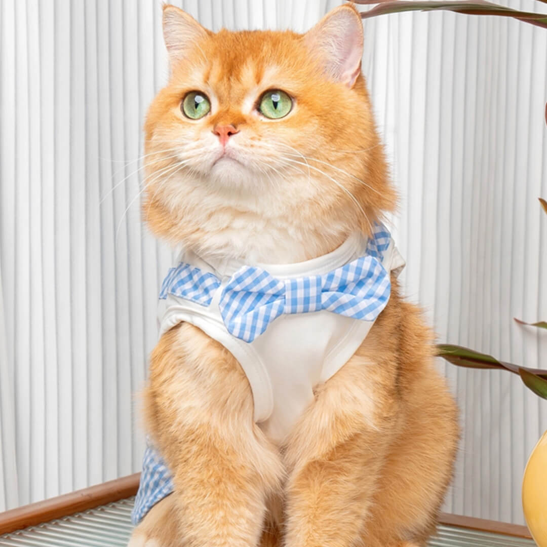 Cat in Blue Check Vest | MissyMoMo