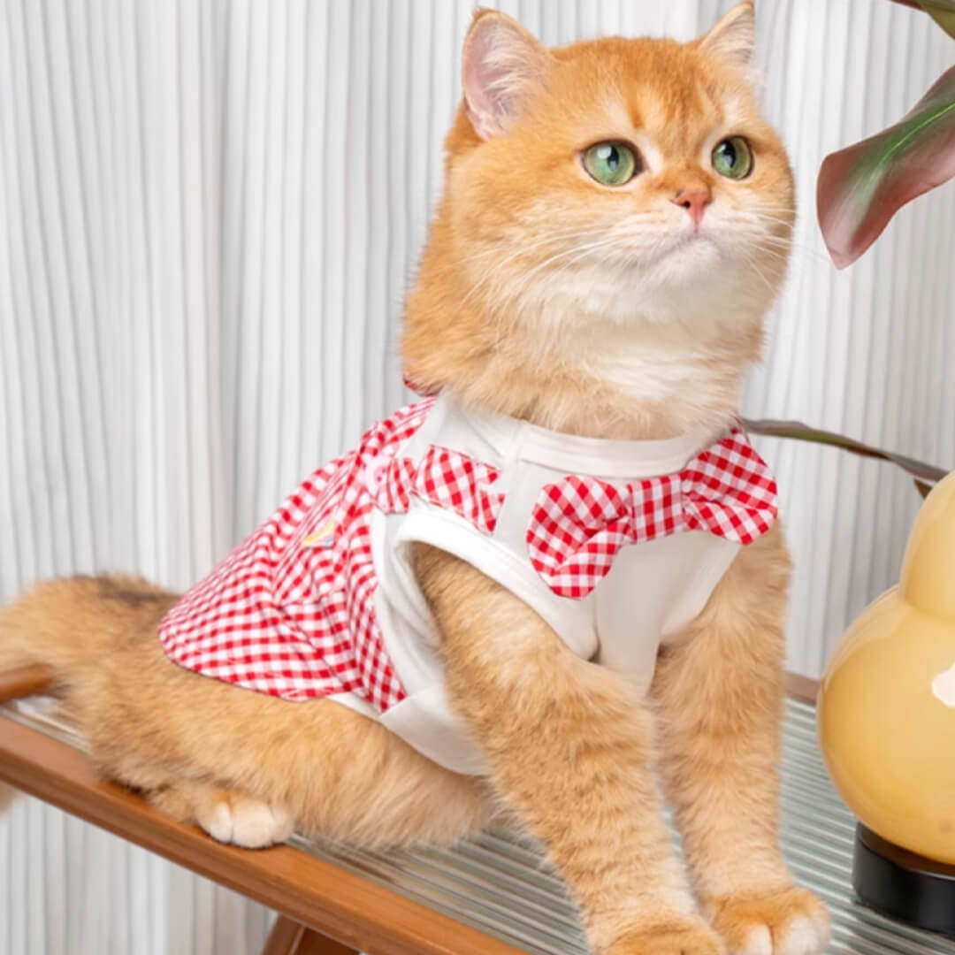 Cat in Red Check Vest | MissyMoMo