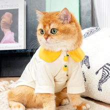 Load image into Gallery viewer, Cat in Pear Summer Shirt | MissyMoMo