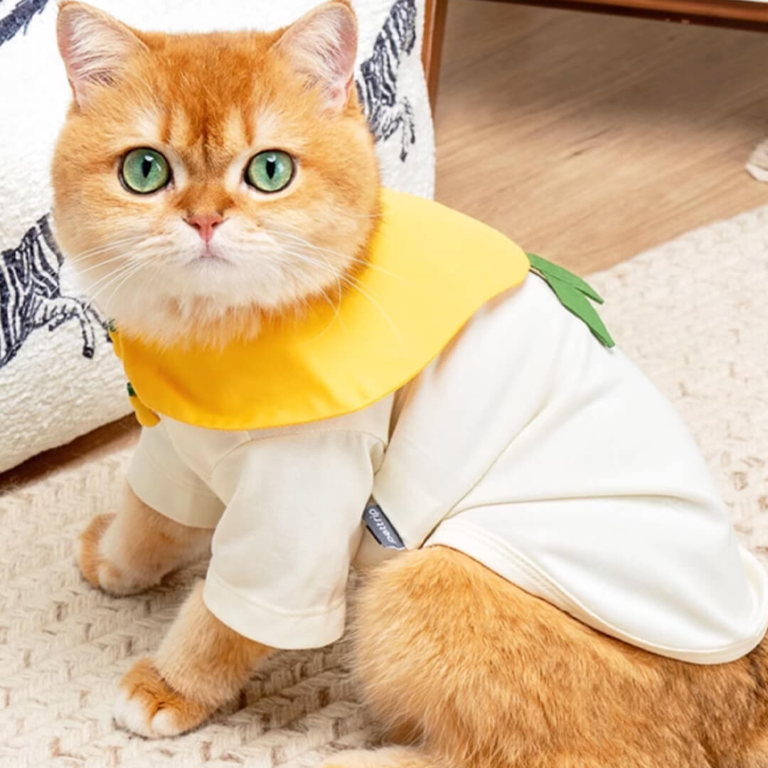 Cat in Pear Summer Shirt | MissyMoMo