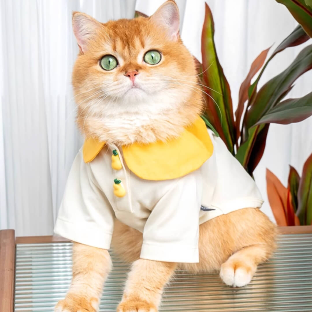 Cat in Pear Summer Shirt | MissyMoMo