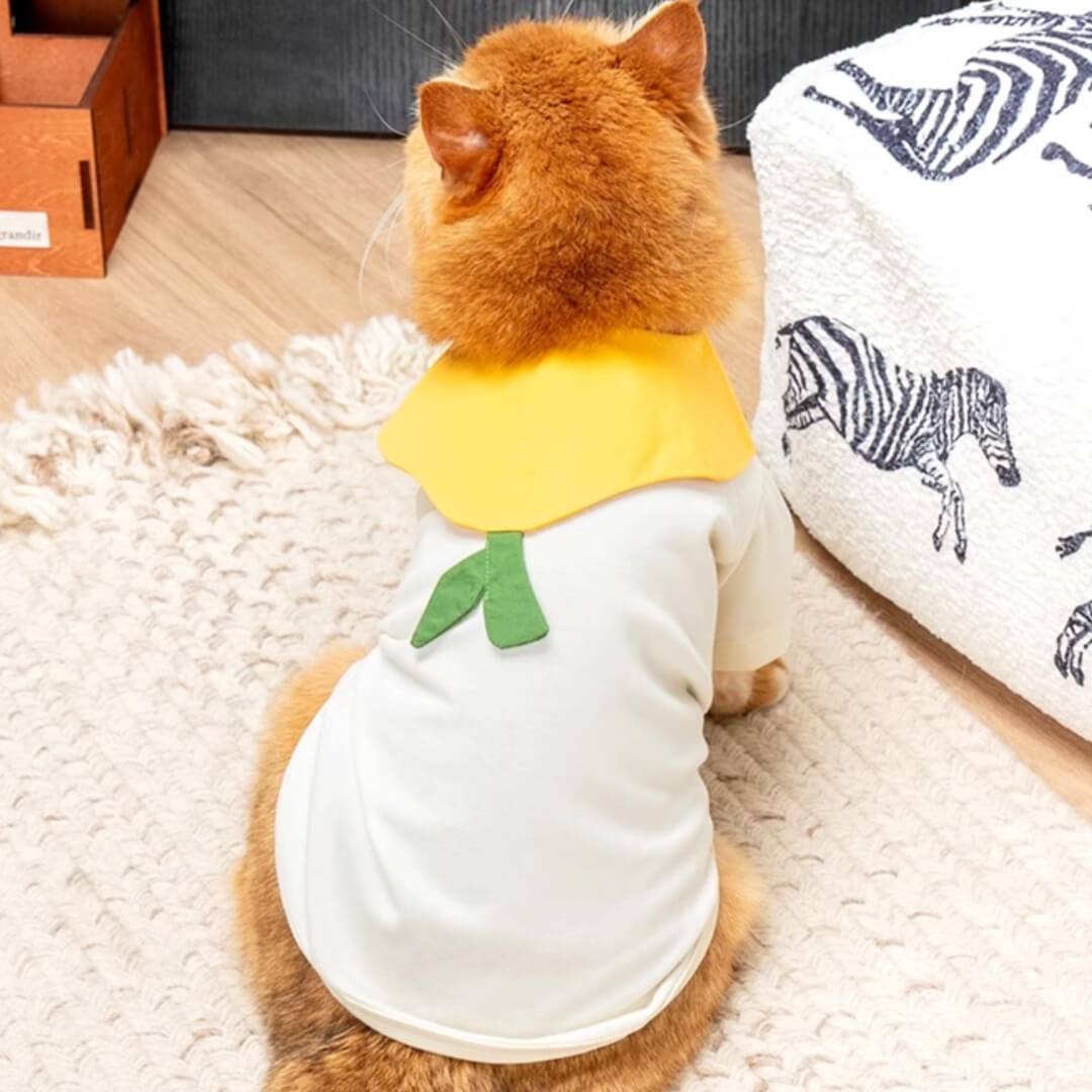Cat in Pear Summer Shirt | MissyMoMo