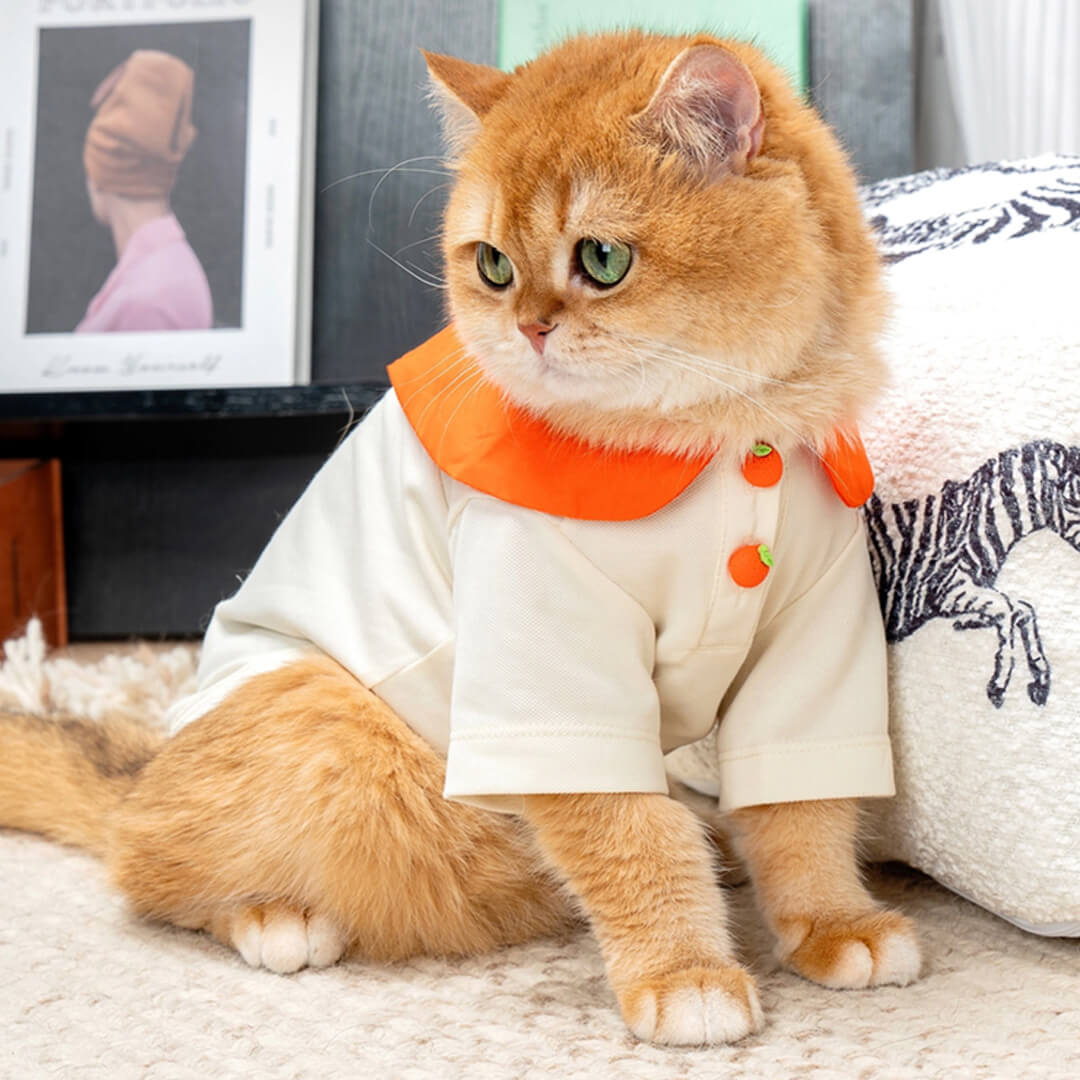 Cat in Orange Summer Shirt | MissyMoMo