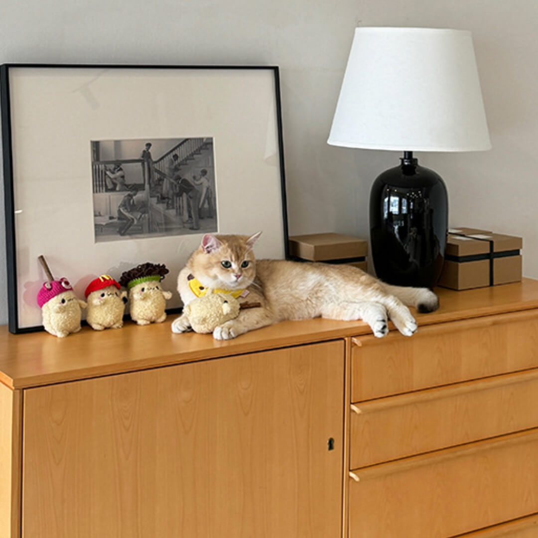 Cat with Cute Potato Silvervine Cat Chew Toys | MissyMoMo