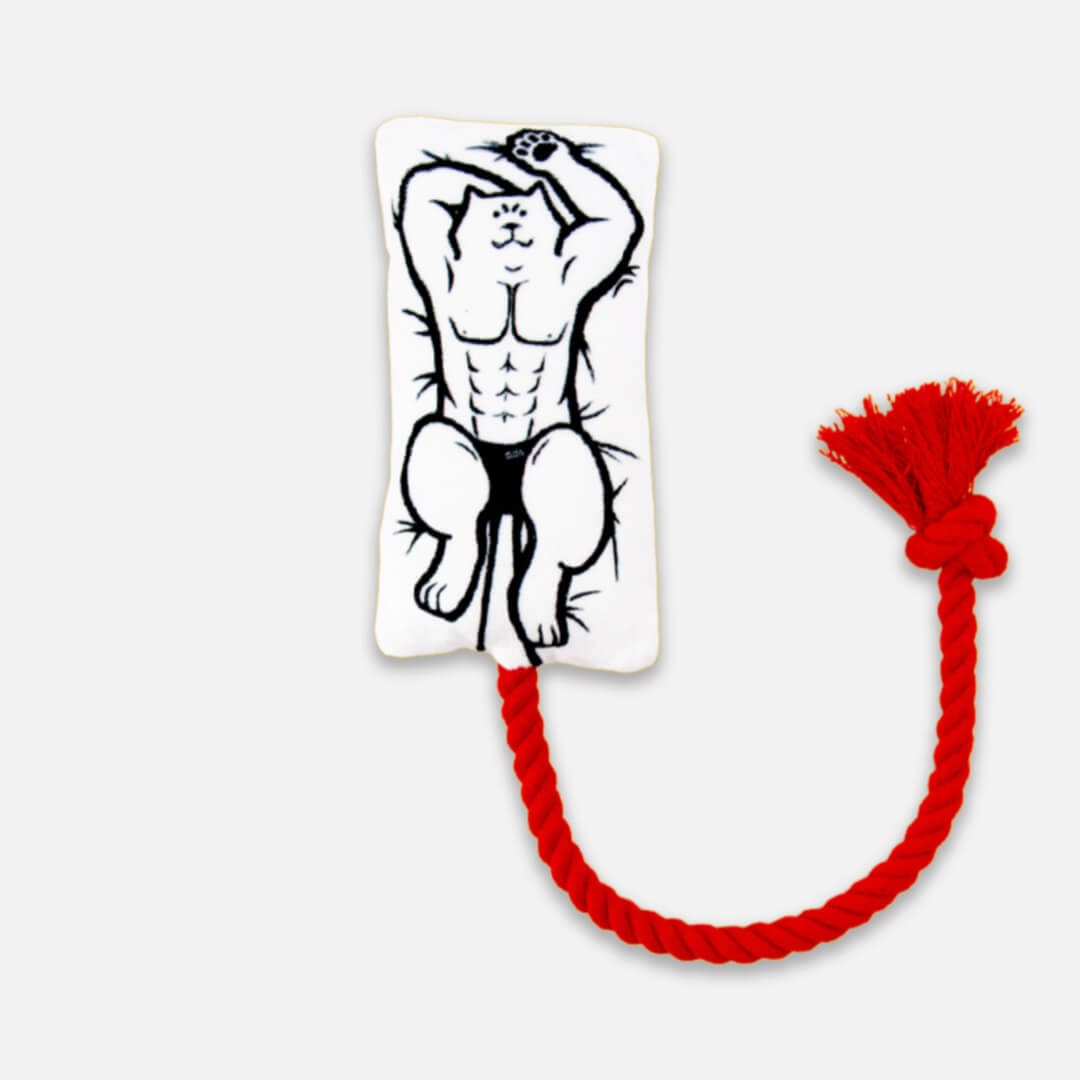 Power Paws Chew & Tug Pillow Toy | Cat Toys | MissyMoMo