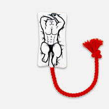 Load image into Gallery viewer, Power Paws Chew &amp; Tug Pillow Toy | Cat Toys | MissyMoMo
