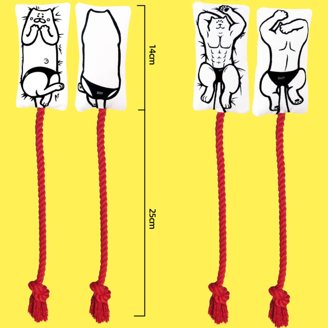 Power Paws Chew & Tug Pillow Toy | Cat Toys | MissyMoMo