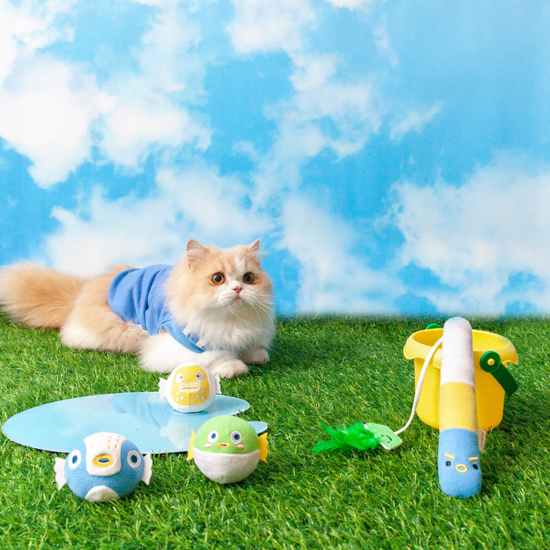 Cat Playing with Pufferfish Fishing Teaser Set | Cat Toys | MissyMoMo