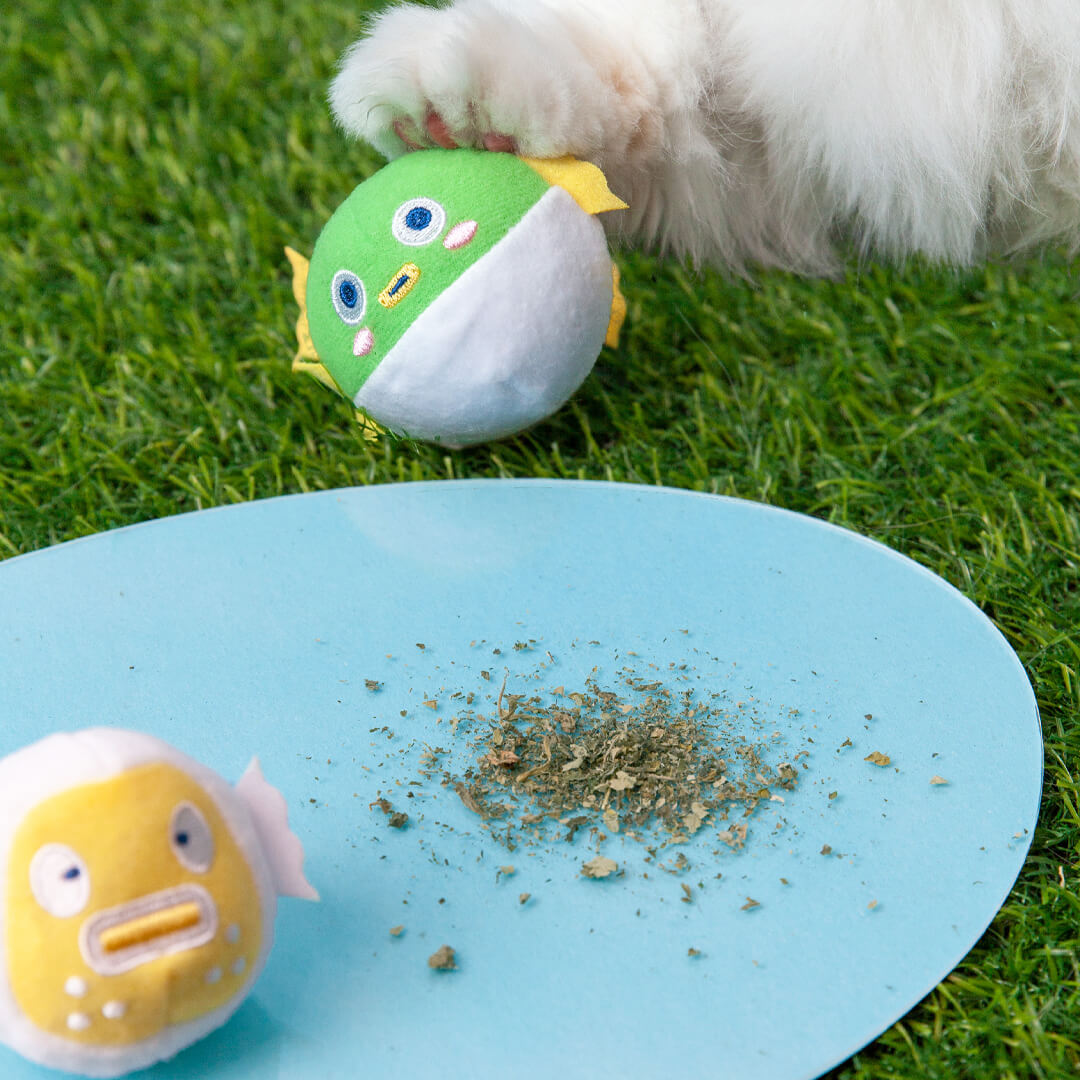 Cat Playing with Pufferfish Catnip Toys | MissyMoMo