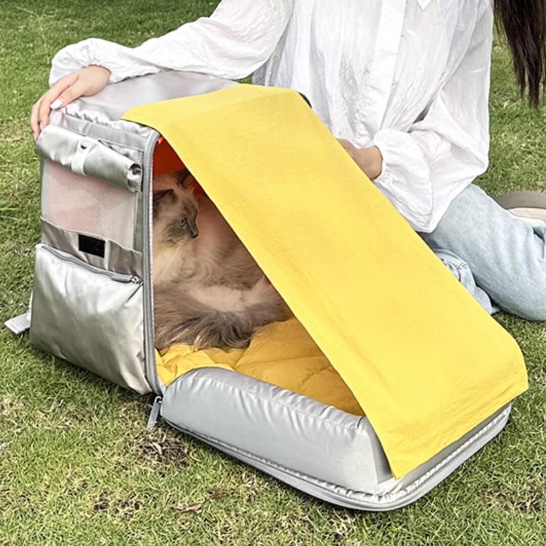 Cat Relaxing in Gray Cat Backpack with Foldable Sunshade | MissyMoMo